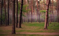 世界登山青年导师长期追踪研究第41期数据摘要发布，世界登山家排名