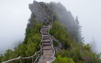 世界杯假球传闻调查：国际足联紧盯可疑赛事，世界杯最假的球赛