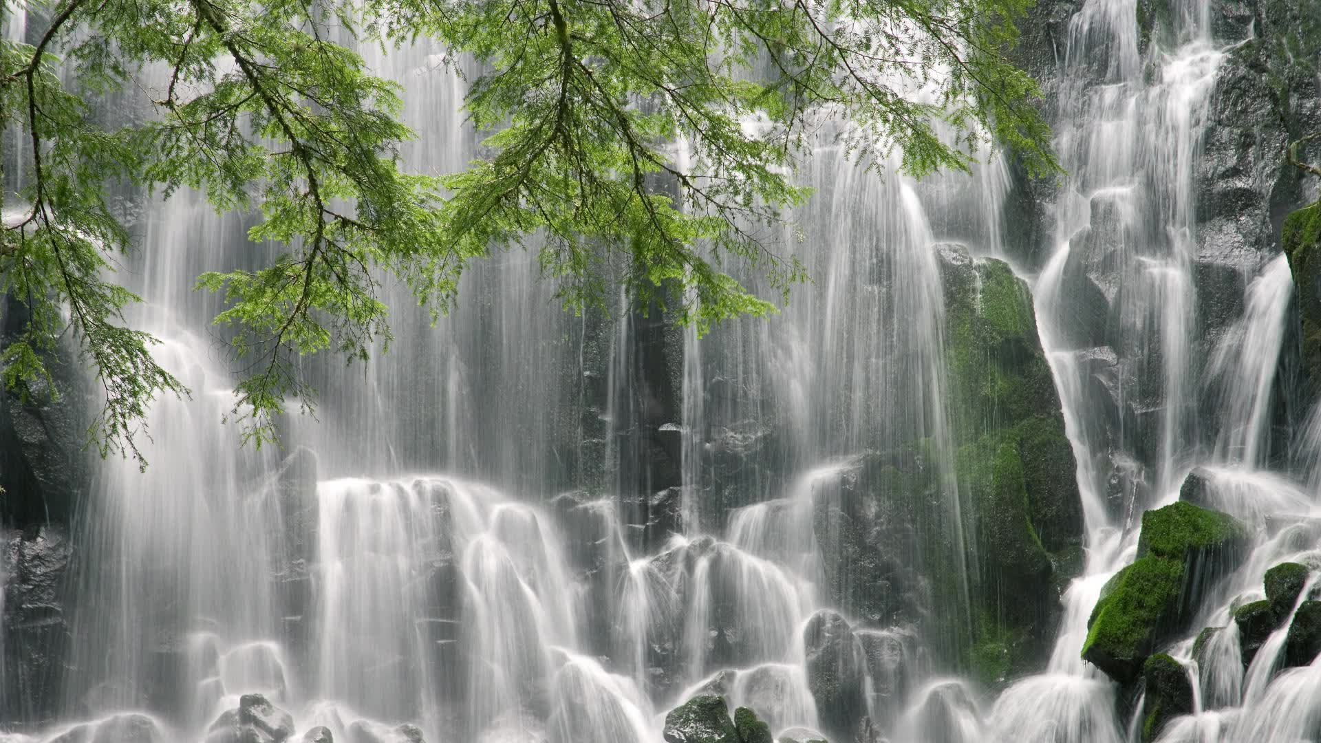 世界举重康复在线课堂季度评估报告与优秀课堂推介发布，世界举重冠军赛